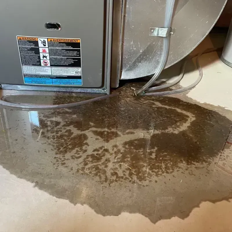 Appliance Leak Cleanup in Marshall County, KY